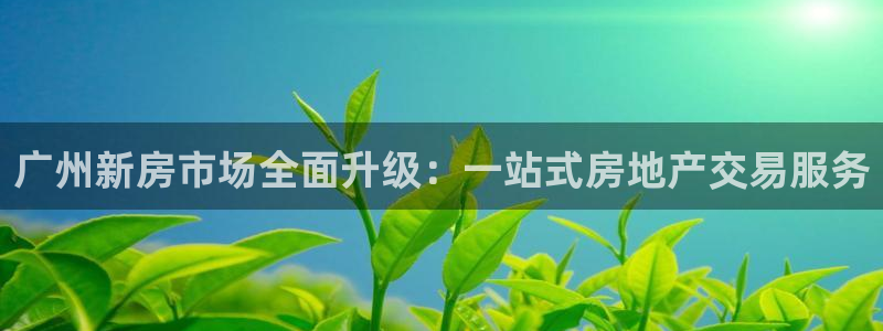 风暴娱乐字图片大全：广州新房市场全面升级：一站式房地产交易服