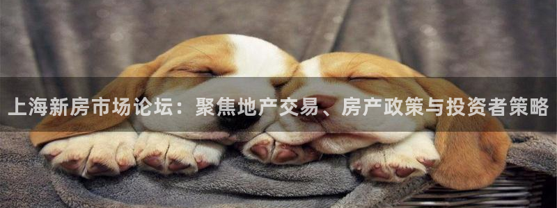 风暴娱乐5O6917：上海新房市场论坛：聚焦地产交易、房产政