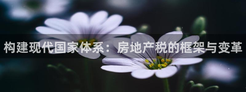 风暴娱乐主页：构建现代国家体系：房地产税的框架与变革