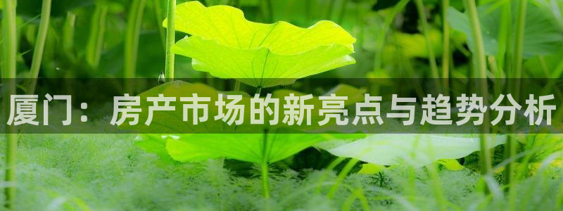 4120051风暴娱乐：厦门：房产市场的新亮点与趋势分析