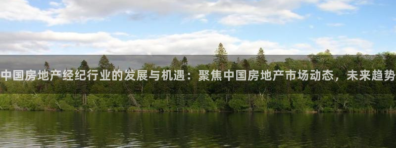 风暴娱乐：中国房地产经纪行业的发展与机遇：聚焦中国房地产市场