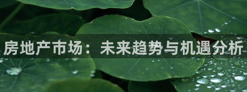 风暴娱乐官网开户：房地产市场：未来趋势与机遇分析