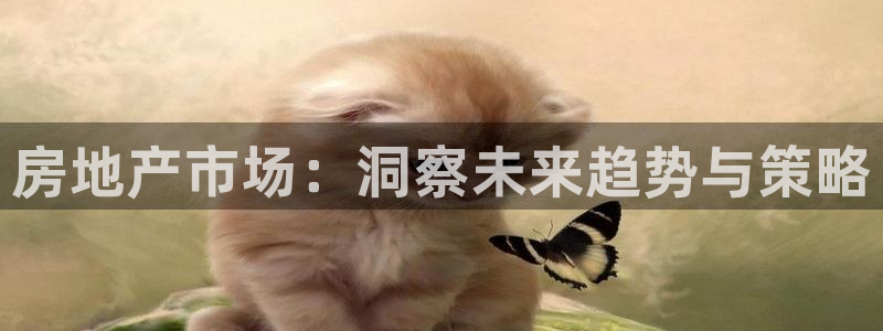风暴娱乐上5指尖：房地产市场：洞察未来趋势与策略