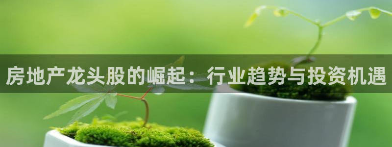 娱乐星空风暴：房地产龙头股的崛起：行业趋势与投资机遇