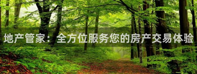 风暴娱乐记：地产管家：全方位服务您的房产交易体验