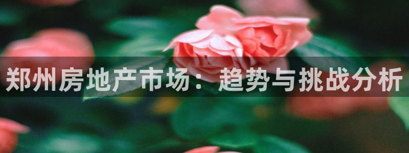 风暴娱乐下5指尖：郑州房地产市场：趋势与挑战分析