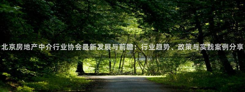 蓝色风暴娱乐：北京房地产中介行业协会最新发展与前瞻：行业趋势