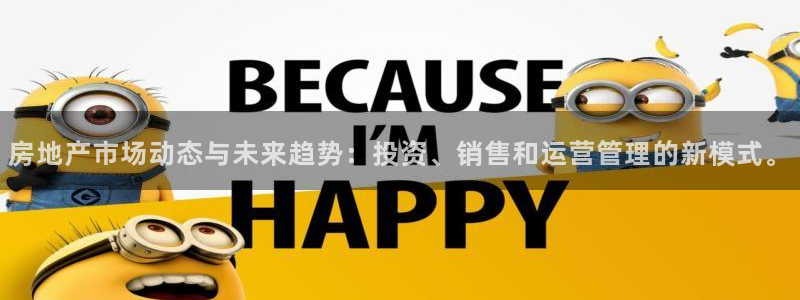 风暴娱乐客服：房地产市场动态与未来趋势：投资、销售和运营管理