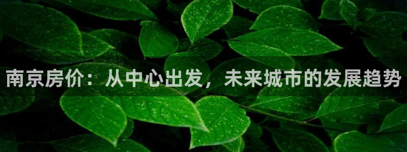 风暴英雄娱乐：南京房价：从中心出发，未来城市的发展趋势
