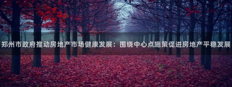 风暴娱乐5O6917：郑州市政府推动房地产市场健康发展：围绕