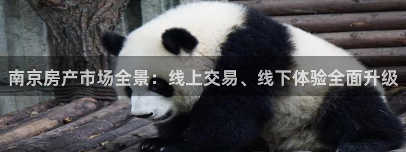 风暴娱乐月5指尖：南京房产市场全景：线上交易、线下体验全面升