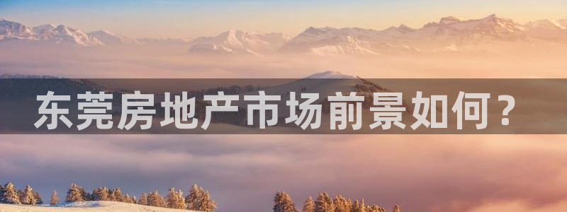 娱乐风暴开头：东莞房地产市场前景如何？