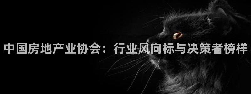 娱乐风暴系统：中国房地产业协会：行业风向标与决策者榜样