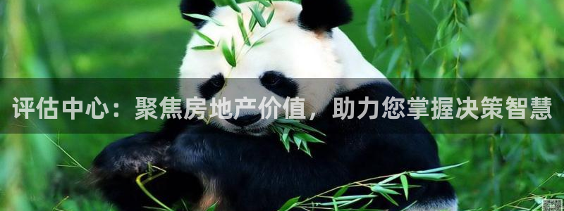风暴娱乐月5指尖：评估中心：聚焦房地产价值，助力您掌握决策智