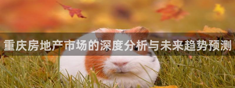 风暴娱乐记：重庆房地产市场的深度分析与未来趋势预测