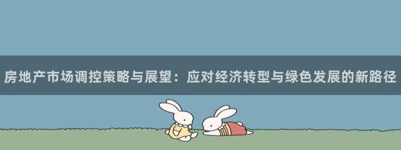 风暴娱乐银川：房地产市场调控策略与展望：应对经济转型与绿色发