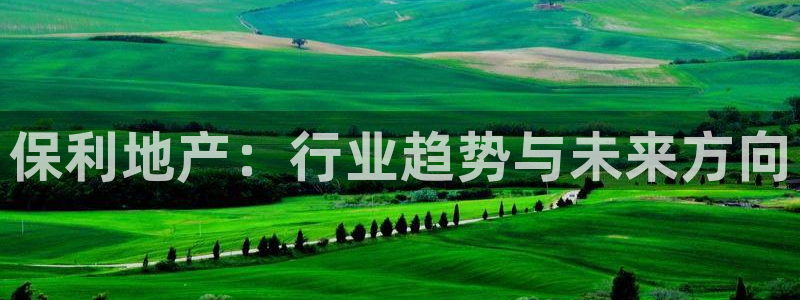 完美风暴 娱乐：保利地产：行业趋势与未来方向