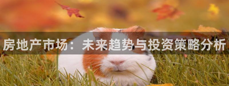 风暴娱乐月5指尖：房地产市场：未来趋势与投资策略分析