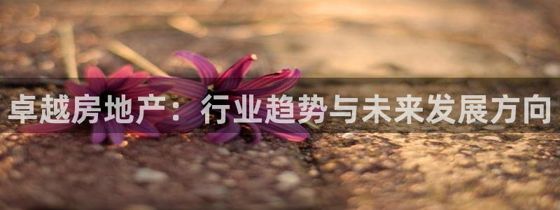 风暴娱乐fb：卓越房地产：行业趋势与未来发展方向