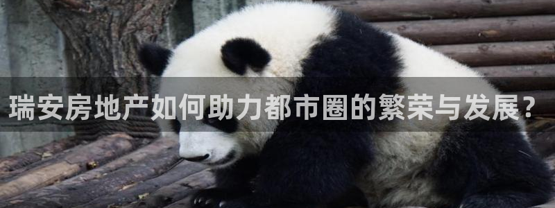 风暴娱乐字图片大全：瑞安房地产如何助力都市圈的繁荣与发展？