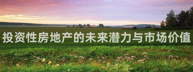 风暴娱乐自动挂：投资性房地产的未来潜力与市场价值