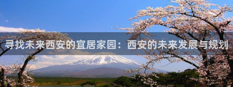 风暴娱乐点：寻找未来西安的宜居家园：西安的未来发展与规划