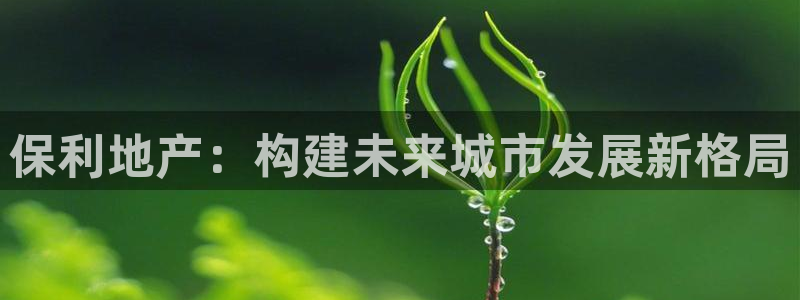 风暴娱乐有5指尖：保利地产：构建未来城市发展新格局