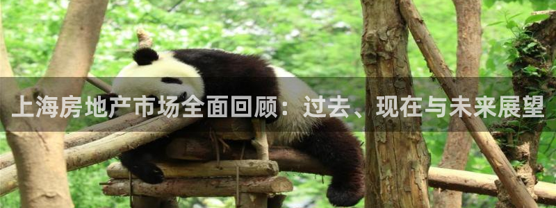 风暴娱乐下载：上海房地产市场全面回顾：过去、现在与未来展望