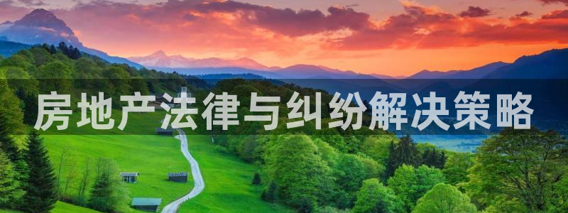 风暴娱乐首页：房地产法律与纠纷解决策略