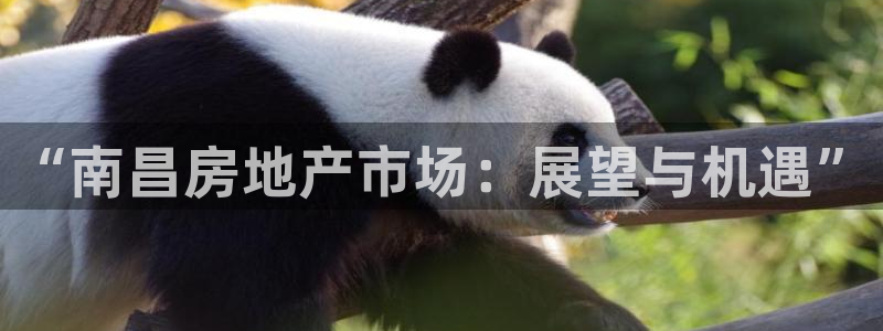 风暴官方娱乐：“南昌房地产市场：展望与机遇”