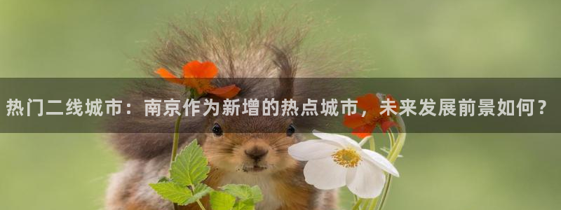 风暴娱乐号：热门二线城市：南京作为新增的热点城市，未来发展前