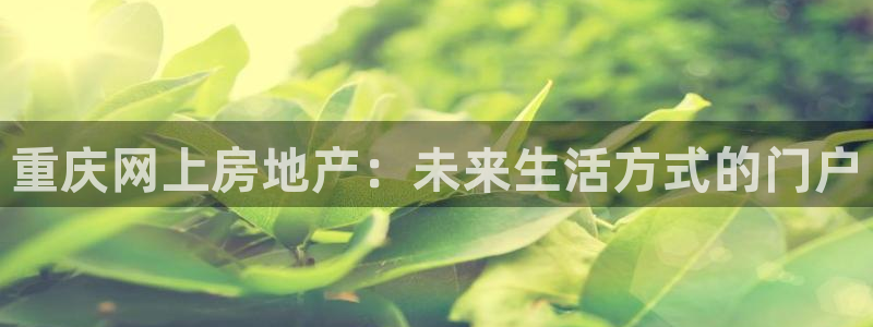 风暴娱乐棋牌：重庆网上房地产：未来生活方式的门户