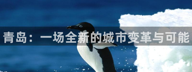 娱乐风暴合集：青岛：一场全新的城市变革与可能