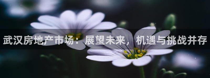 风暴娱乐银川：武汉房地产市场：展望未来，机遇与挑战并存