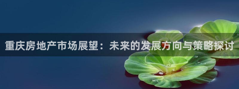 蓝色风暴娱乐：重庆房地产市场展望：未来的发展方向与策略探讨