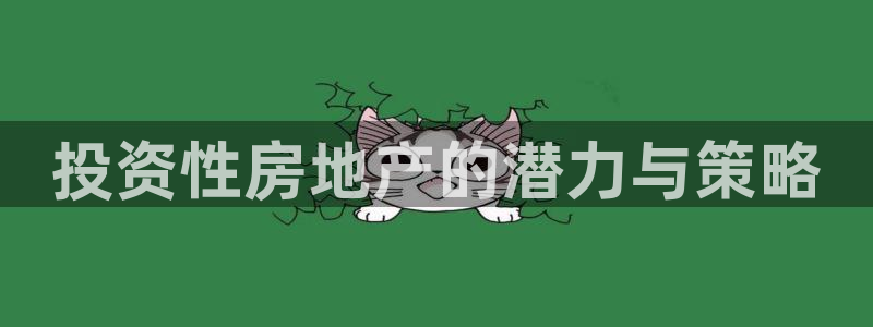 风暴新娱乐：投资性房地产的潜力与策略