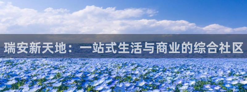 风暴娱乐待遇：瑞安新天地：一站式生活与商业的综合社区