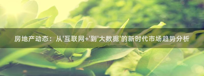 风暴娱乐注册网址：房地产动态：从\'互联网+\'到\'大数据