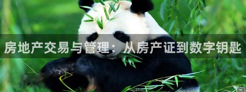 风暴娱乐40996：房地产交易与管理：从房产证到数字钥匙