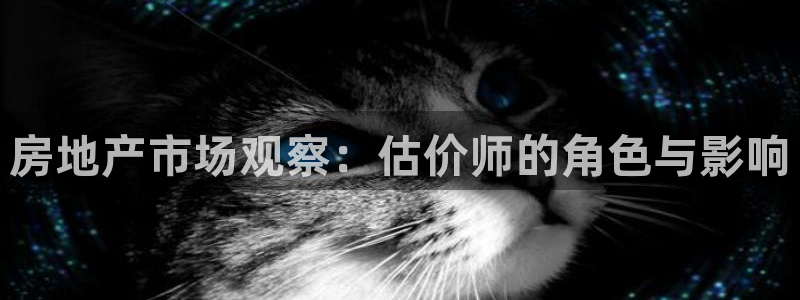风暴娱乐自动挂：房地产市场观察：估价师的角色与影响