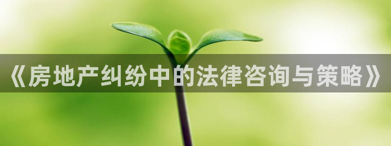 菲律宾风暴娱乐集团：《房地产纠纷中的法律咨询与策略》