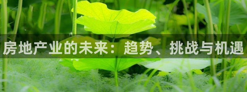 风暴平娱乐：房地产业的未来：趋势、挑战与机遇