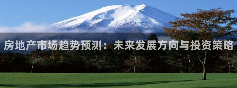 风暴娱乐客服：房地产市场趋势预测：未来发展方向与投资策略