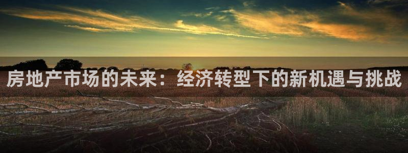 风暴娱乐点：房地产市场的未来：经济转型下的新机遇与挑战