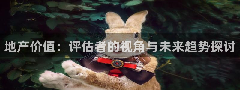 风暴娱乐去人l8888：地产价值：评估者的视角与未来趋势探讨