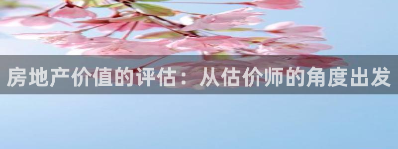 风暴娱乐右5指尖：房地产价值的评估：从估价师的角度出发
