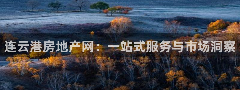 风暴娱乐点：连云港房地产网：一站式服务与市场洞察