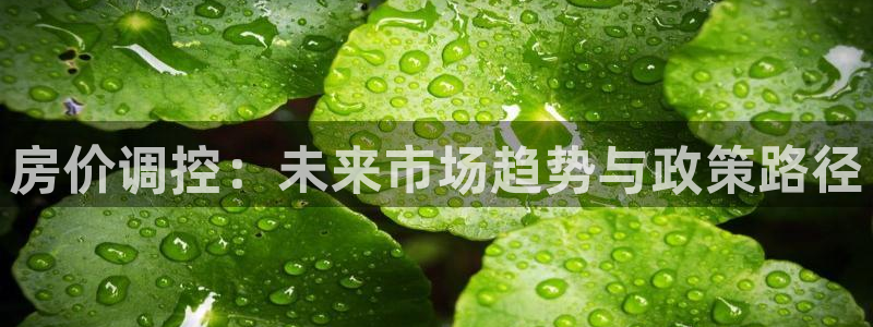 风暴娱乐部：房价调控：未来市场趋势与政策路径