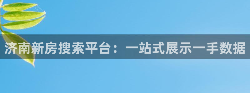 风暴娱乐园：济南新房搜索平台：一站式展示一手数据