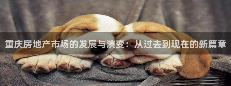 完美风暴 娱乐：重庆房地产市场的发展与演变：从过去到现在的新